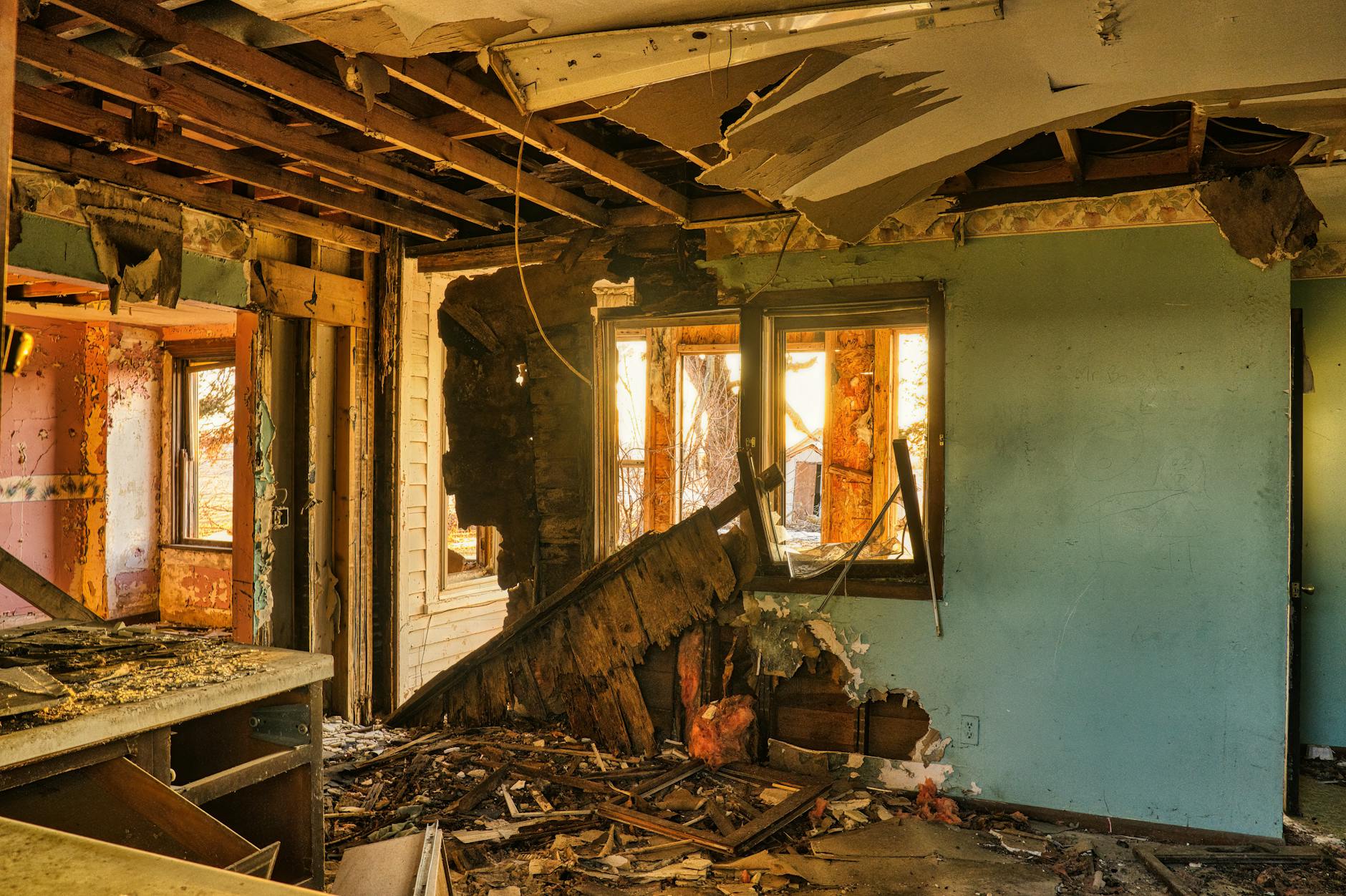 Mold Removal Mold Gallery Port St. Lucie