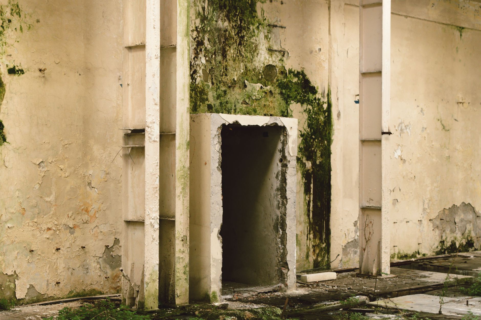 Mold Removal Hero Section Port St. Lucie